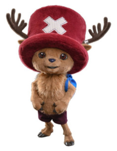 One Piece Collectible...