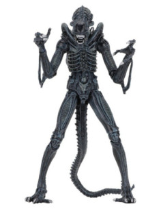 Aliens Ultimate figurine...