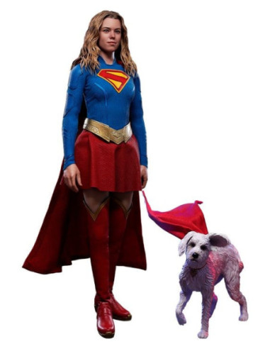 DC Comics Movie Masterpiece set de...