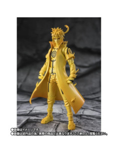 Naruto figurine...