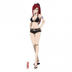 Fairy Tail housse de coussin Dakimakura Erza Scarlet Sakami - 1 2