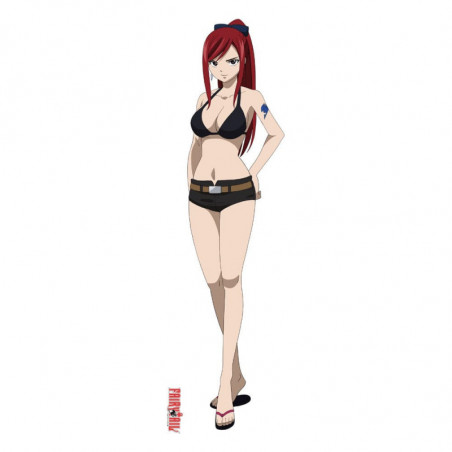 Fairy Tail housse de coussin Dakimakura Erza Scarlet Sakami - 2