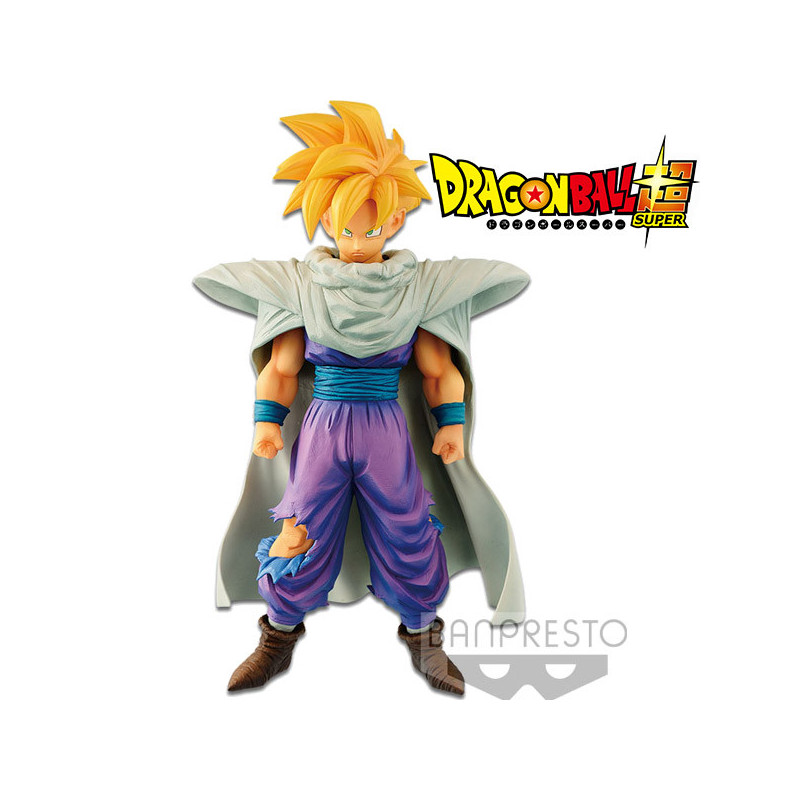 Dragon Ball Z Son Gohan Resolution Of...