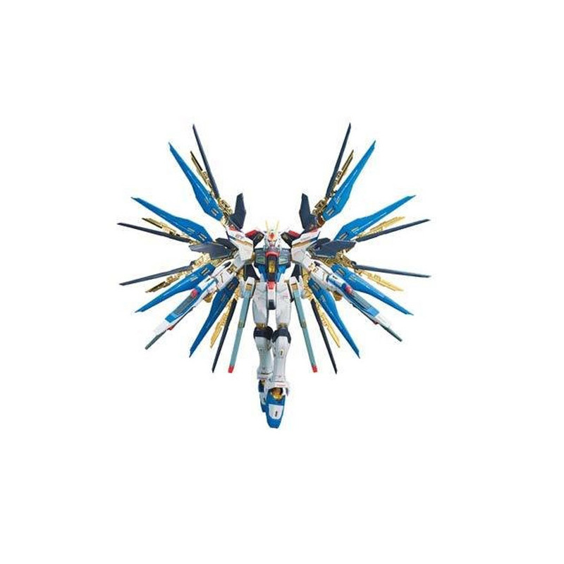 Gundam Gunpla RG 1/144 14 Strike Freedom Gundam Bandai - 1