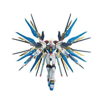 Gundam Gunpla RG 1/144 14 Strike Freedom Gundam Bandai - 1