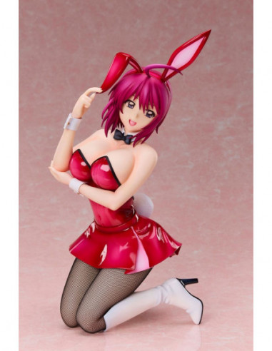 Mobile Suit Gundam SEED Destiny...